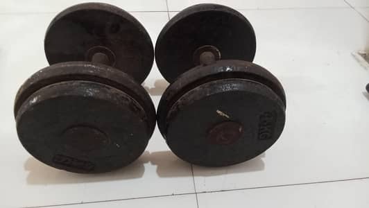 commercial dumbles for sale premium quality