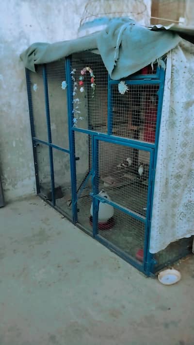 Folding Cage For Sale (6x6)