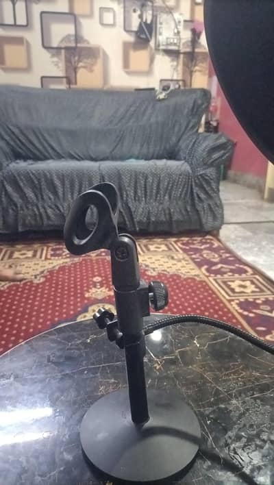 Professional Hand Mic with stand + Noise Filter + Connector | Stunning