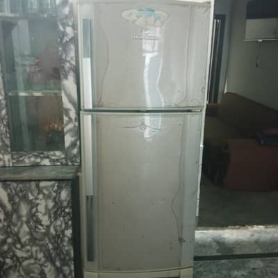 Single Used fridge Perfect working condition.