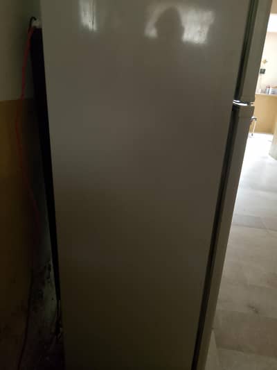 frige