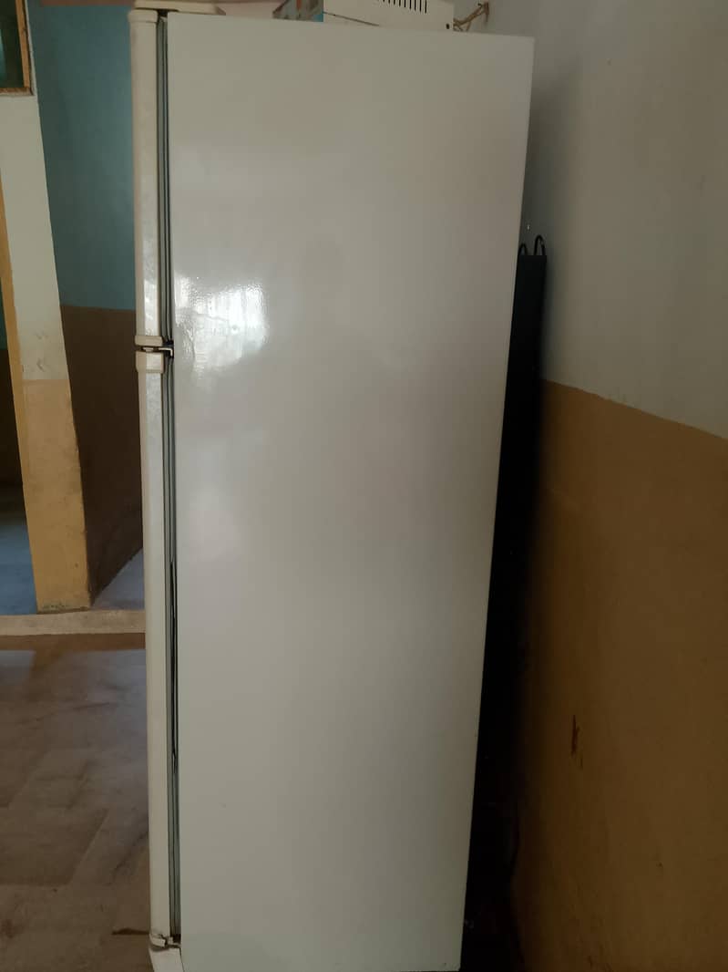 frige 1