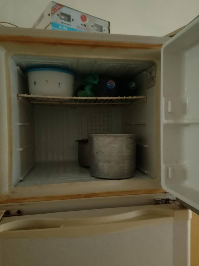 frige 3