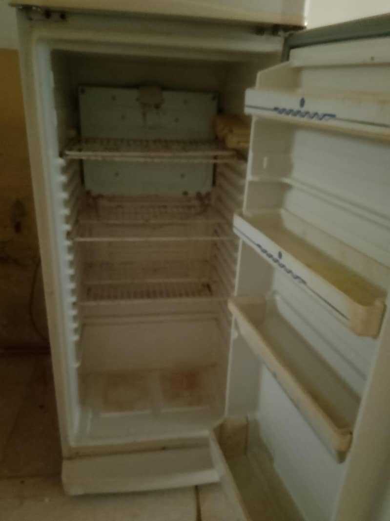 frige 4