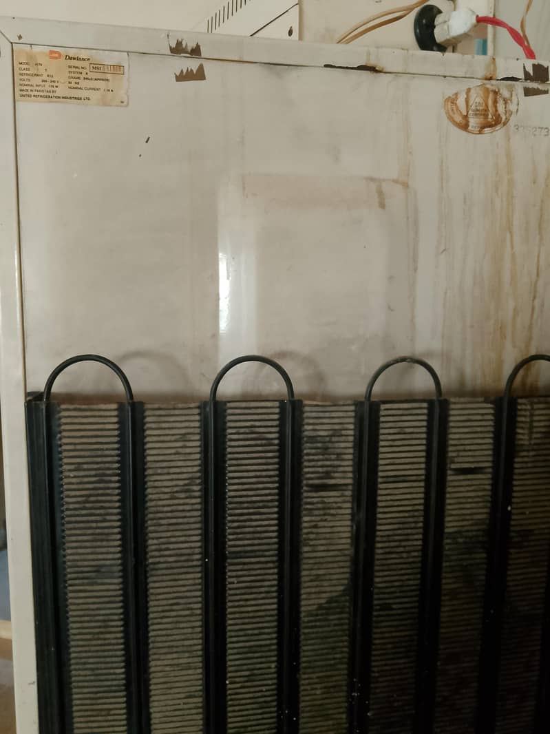 frige 5