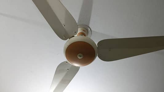 5 Fans SK