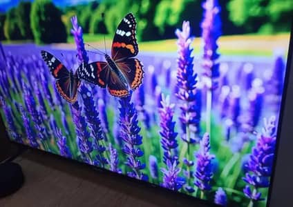 TCl  43 inchs 4k