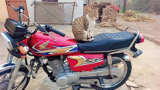 HONDA 125 20 MODEL TOTALLY GENUINE
