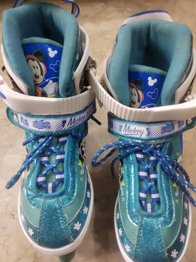 Skating Shoes