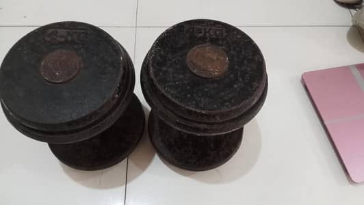 18.5 kg dumbbell pair premium quality