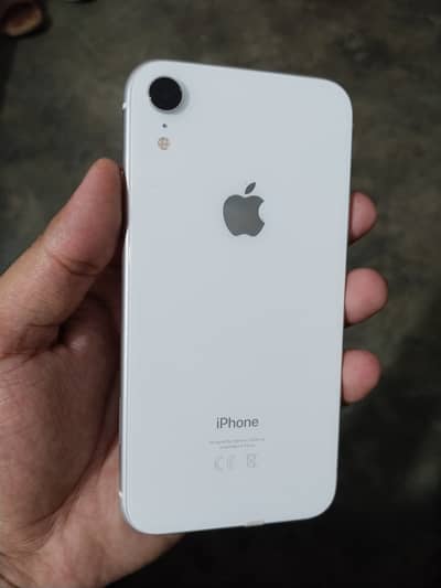 iphone xr 64gb pta approved