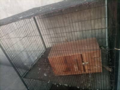 cage for sale