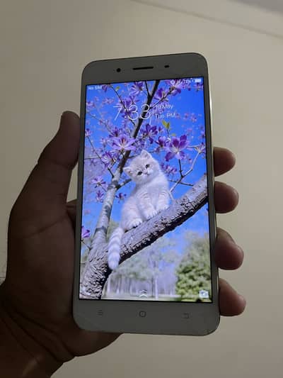 Vivo y 66 ha best for hot spot