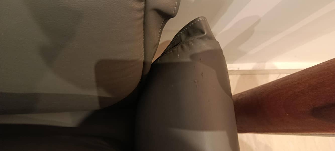 L shape sofa 1