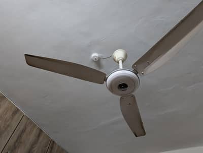 gfc fan 3 fan hai  on condition Mai hai