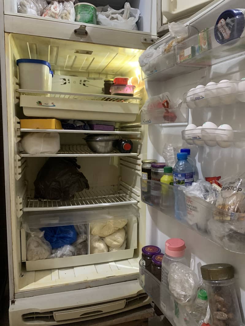 PEL Fridge 1