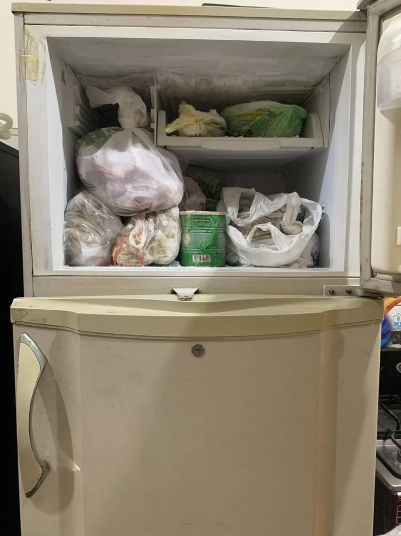 PEL Fridge 2