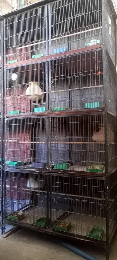 8 portion cage