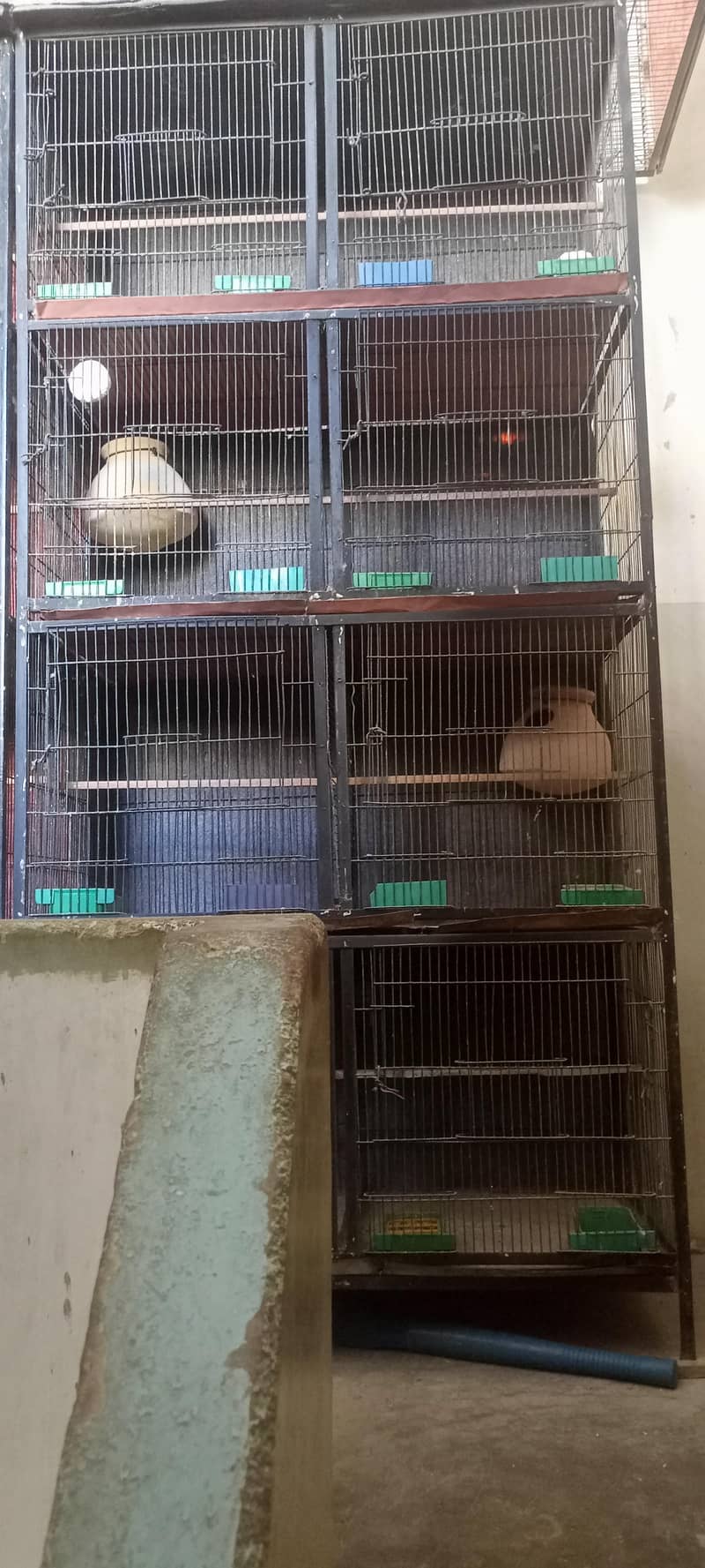 8 portion cage 1