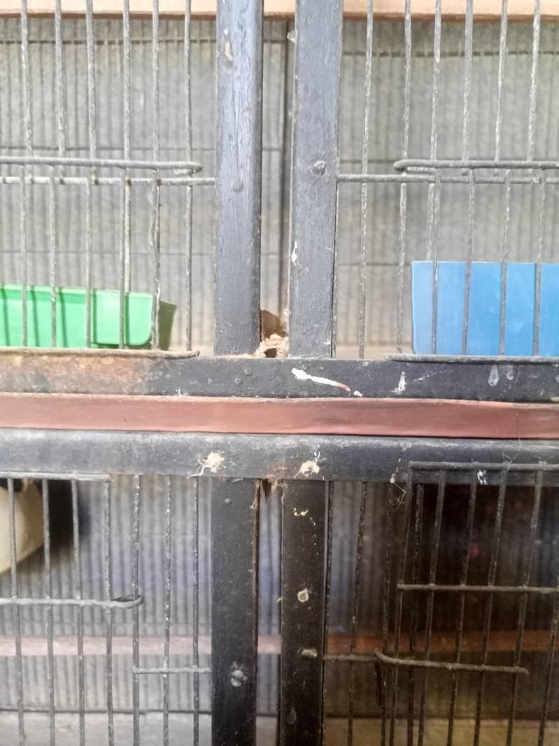 8 portion cage 5