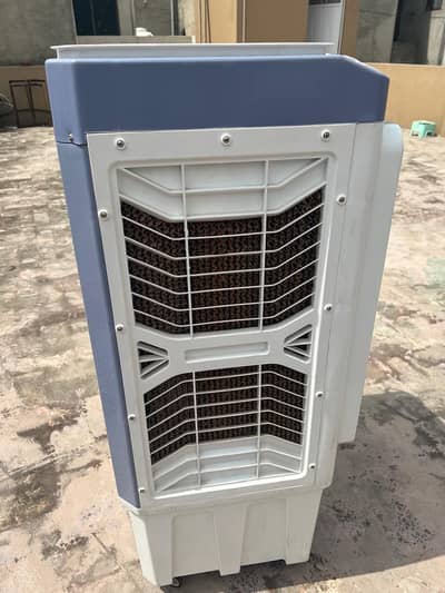 i zone air color new