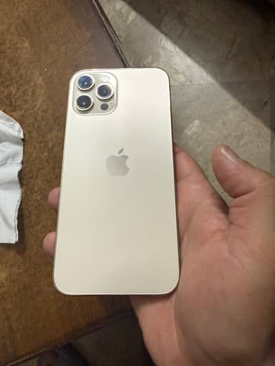 12 pro max