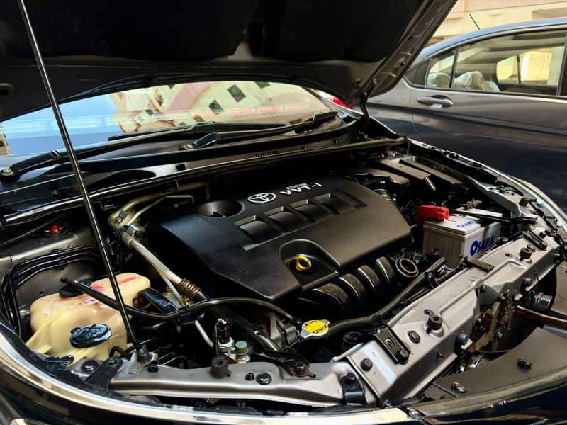 Altis 7