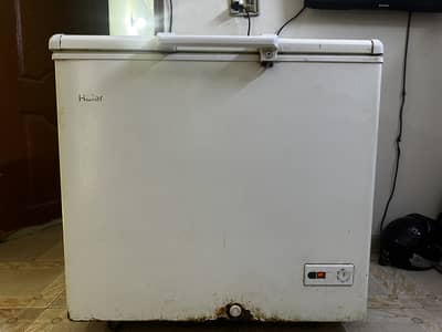 D-freezer (haier)