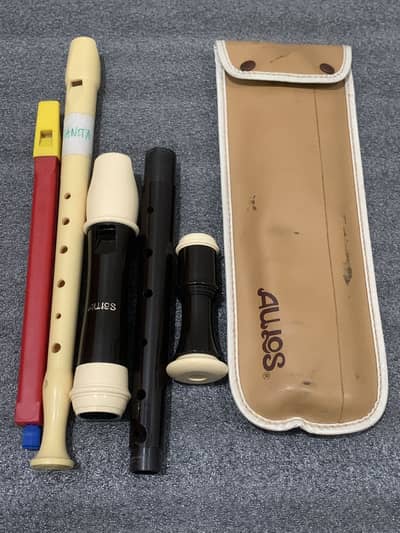 Musical instrument