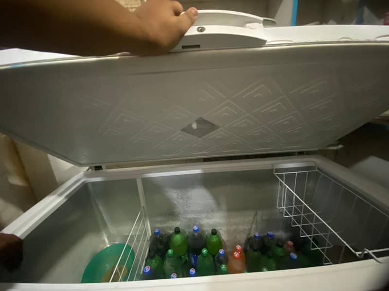 Waves freezer 4