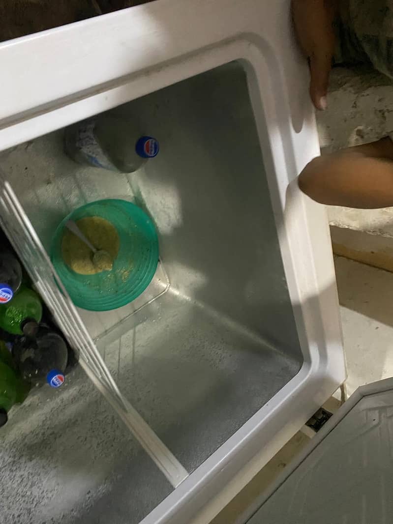 Waves freezer 6