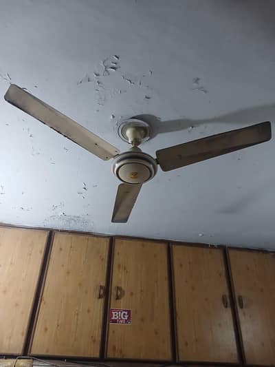 Fan For Sale