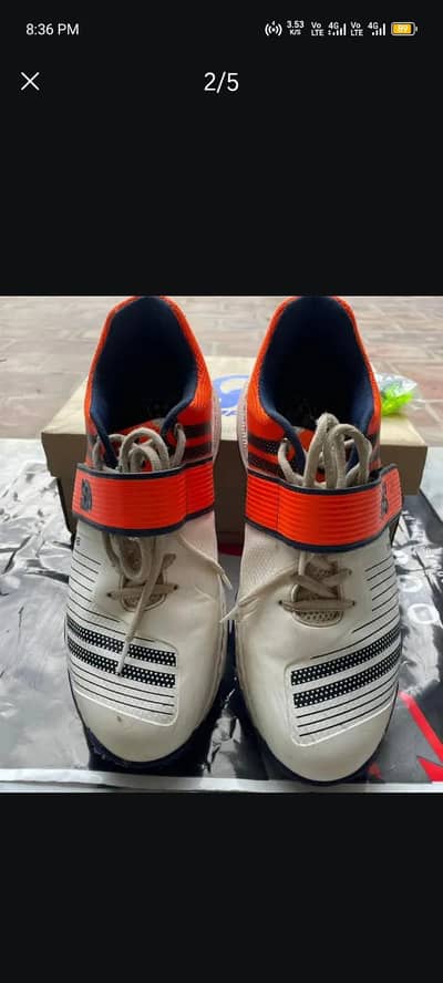 cricket spikes