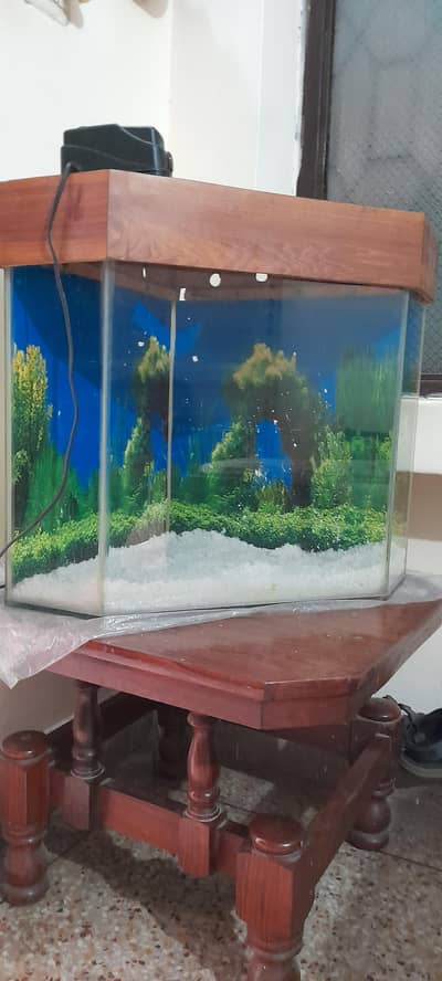 fish equriyam urgent sale new condition