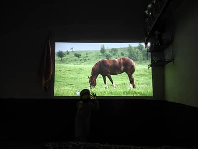 Anker nebula Apollo projector