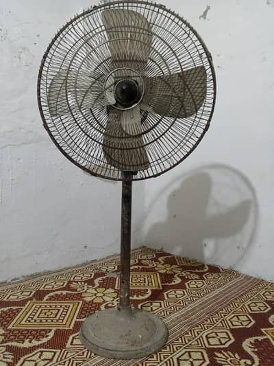 fan