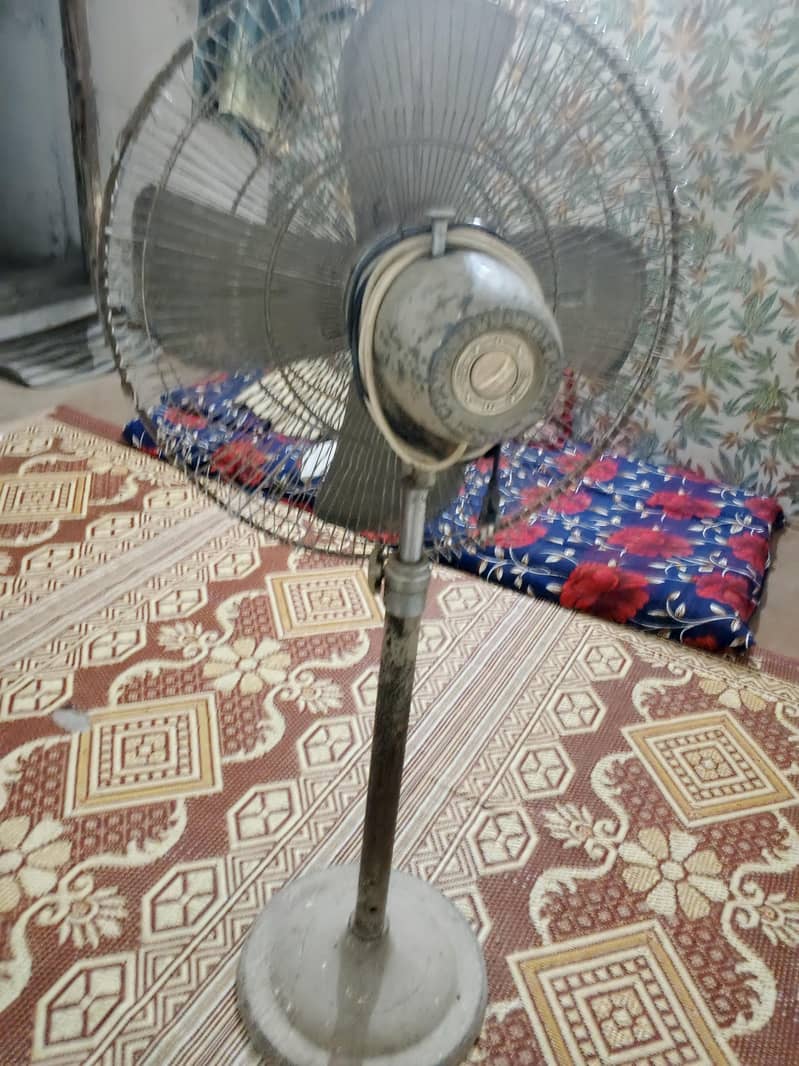 fan 5