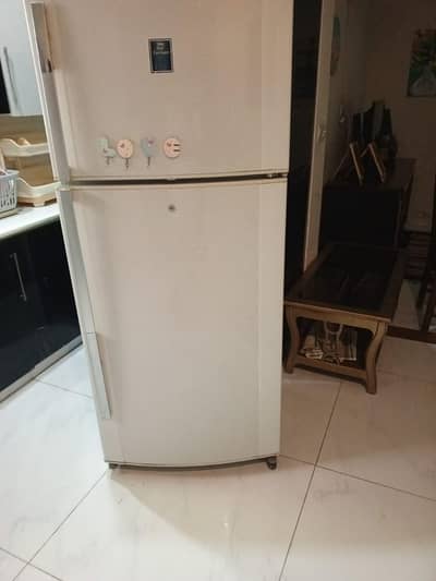 large size beautiful Fridge