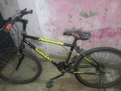 Bicycle for sale ESCAPE GIANT