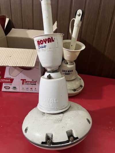 Royal fan