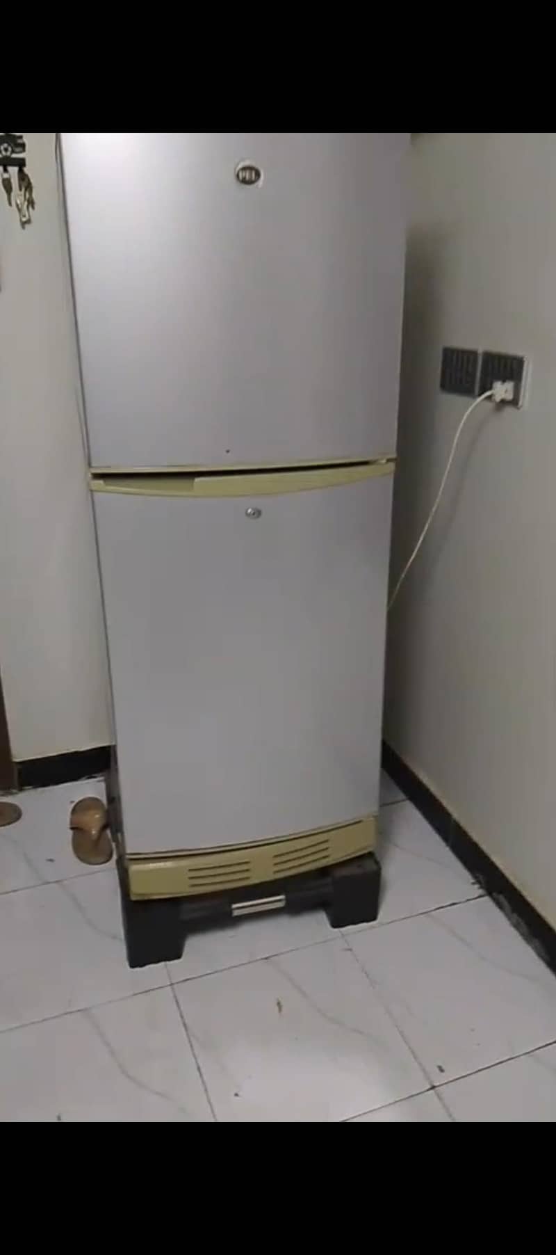 PEL fridge 1