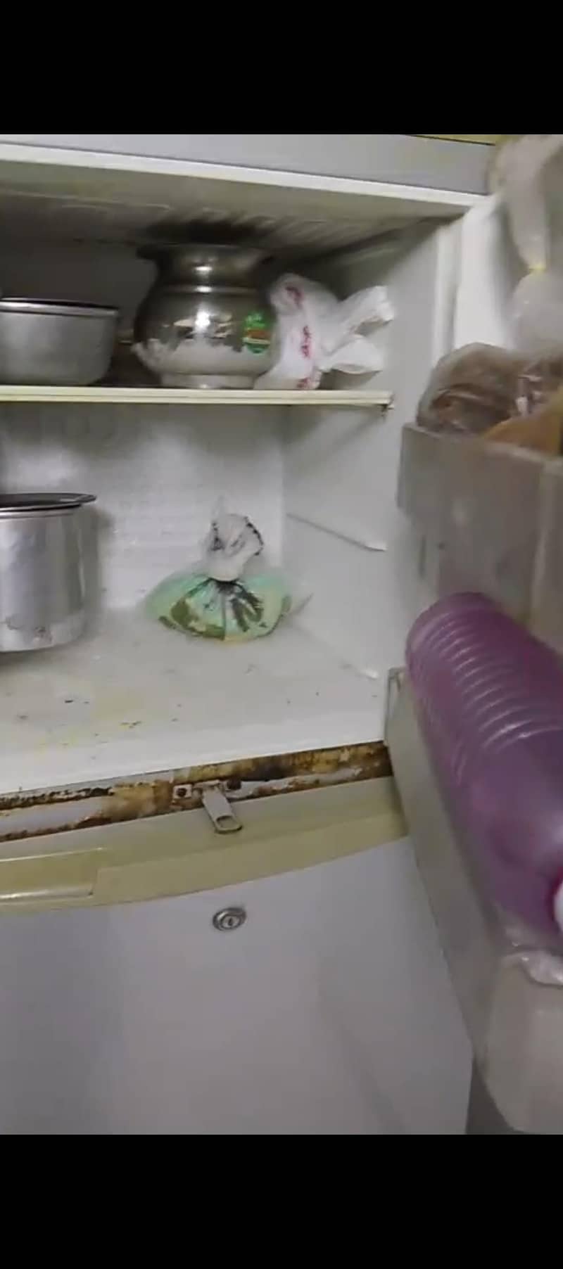 PEL fridge 2