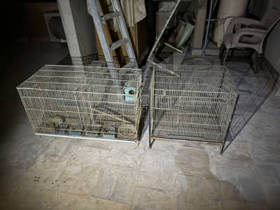 Cages for lovebirds