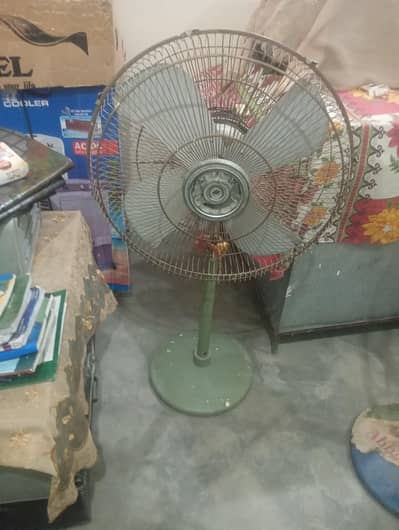 nice fan