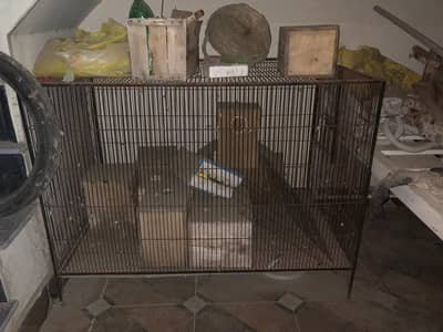 Master Cage for Lovebirds