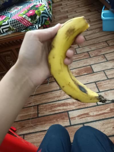 Japanese banna