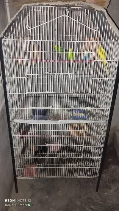 Budgie cage with budgies