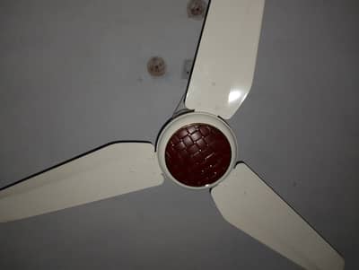 black wale 2 fan or white wala 1 fan hy  ok hy