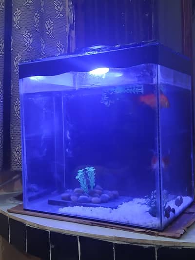 Aquarium in good condition