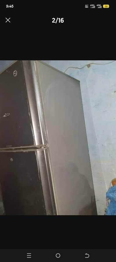 Zayan 03162371841